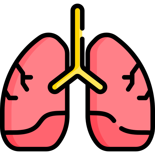 Lung